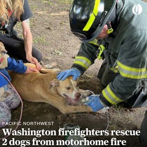 Image post by @theoregonian on Instagram