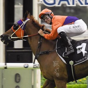 Image post by @australianturfclub on Instagram