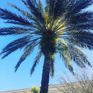 Image post by @rosencollege on Instagram