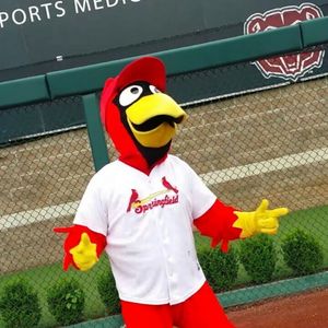 Image post by @springfield_cardinals on Instagram