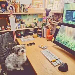 Image post by @wacom on Instagram