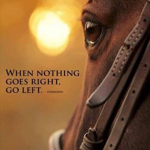 Image post by @snaffle_it on Instagram