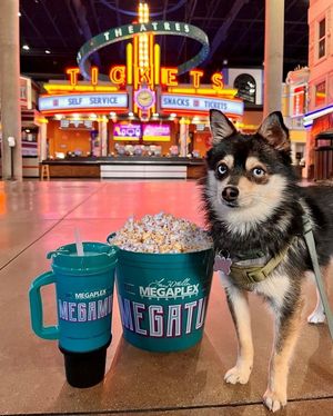 Image post by @megaplextheatres on Instagram
