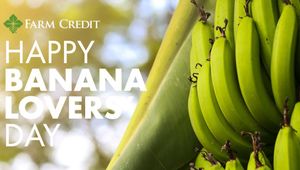 Image post by @farmcredit on Instagram