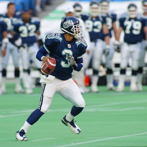 Image post by @torontoargos on Instagram