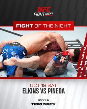 Image post by @ufc on Instagram