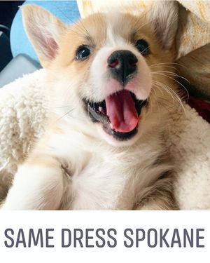 Image post by @spokhumanesoc on Instagram