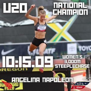 Image post by @dyestat on Instagram