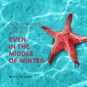 Image post by @lemondrop_social on Instagram