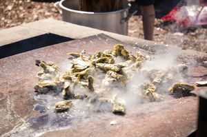 Image post by @toadfishoutfitters on Instagram