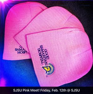 Image post by @sanjosestategym on Instagram