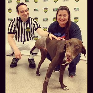 Image post by @animalplanet on Instagram
