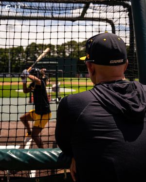 Image post by @thecanesbb on Instagram