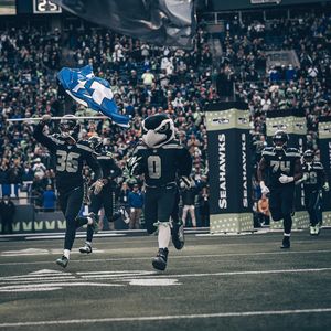 Image post by @blitztheseahawk on Instagram