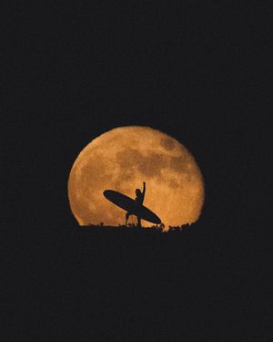 Image post by @fubiz on Instagram