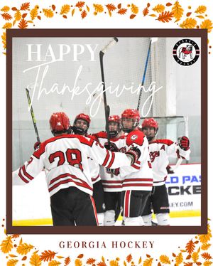 Image post by @ugahockeyd3 on Instagram