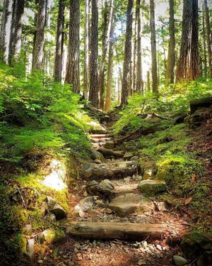 Image post by @nationalparkservice on Instagram