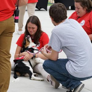Image post by @thechicagodogs on Instagram