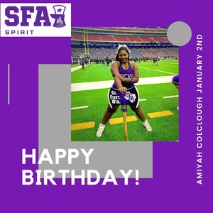 Image post by @sfa_cheer_ on Instagram