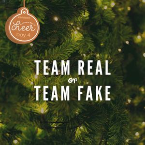 Image post by @ramsteinfss on Instagram