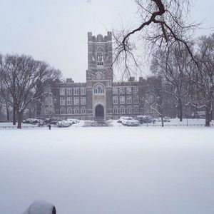 Image post by @fordhamcab on Instagram
