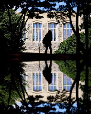 Image post by @virginia.tech on Instagram