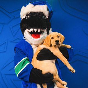 Image post by @canuckspup on Instagram