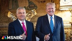 Video post by @msnbc on YouTube