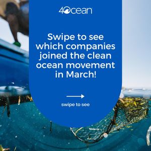 Image post by @4ocean on Instagram