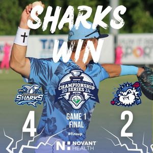 Image post by @ilmsharks on Instagram