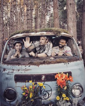 Image post by @magicgiant on Instagram
