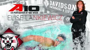 Image post by @davidsonswimdive on Instagram