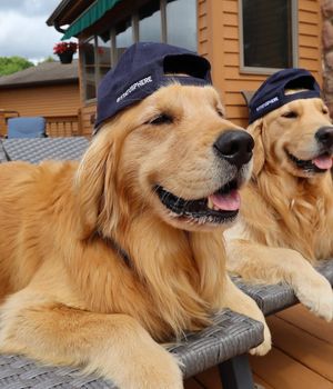 Image post by @statusphere on Instagram