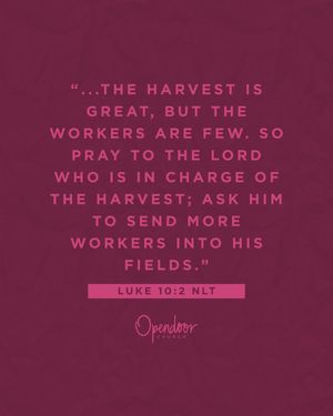 Image post by @opendoorchurchnc on Instagram