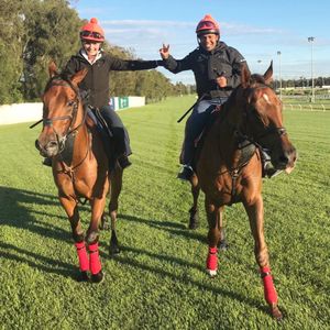 Image post by @australianturfclub on Instagram