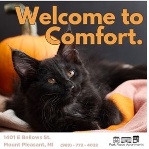 Image post by @centralmichiganlife on Instagram