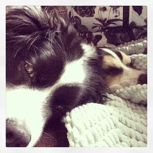 Image post by @lifesadiscoball on Instagram