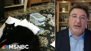 Video post by @msnbc on YouTube
