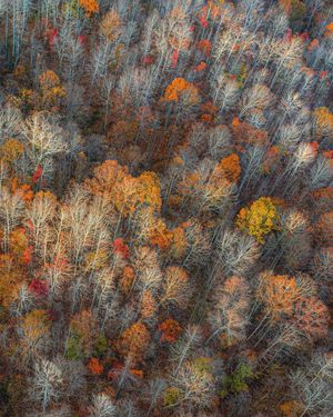 Image post by @dronepals on Instagram