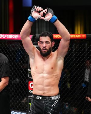 Image post by @ufc on Instagram