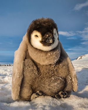 Image post by @natgeo on Instagram