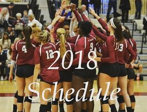 Image post by @harvardwvball on Instagram