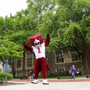 Image post by @templealumni on Instagram
