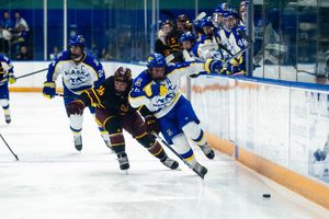 Image post by @nanookshockey on Instagram