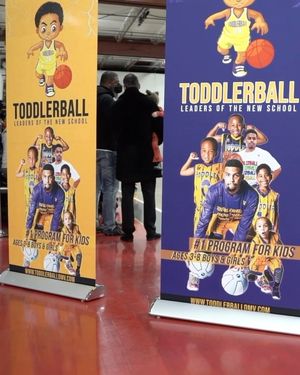 Image post by @toddlerball on Instagram