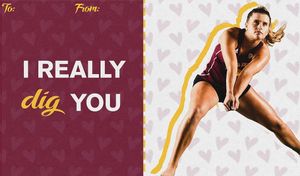 Image post by @sundevilbeachvb on Instagram