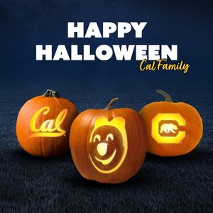 Image post by @calwwpolo on Instagram