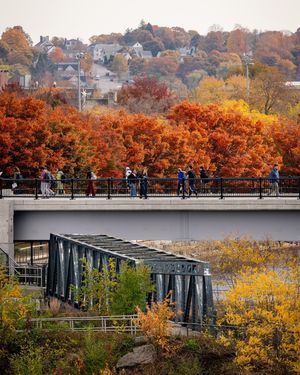 Image post by @martemedia on Instagram