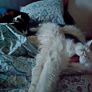 Image post by @hollysmee on Instagram