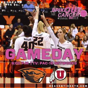 Image post by @beavervball on Instagram
